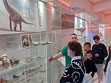 На «кладбище динозавров» в России нашли янтарь