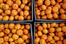 В Абхазии заявили о сокращении экспорта мандаринов в РФ на 18%