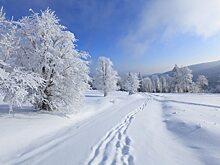 Саратовская область порадует туристов экскурсиями, горнолыжными курортами и зимней охотой