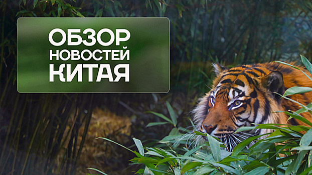 Обзор новостей Китая. Экономика. Туризм. Экология