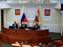 Курские депутаты предложили ужесточить наказание за незаконное ношение госнаград