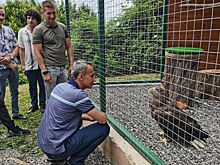 У спасенных из сафари-парка "краснокнижных" птиц в Сочи появился свой дом