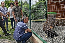 У спасенных из сафари-парка "краснокнижных" птиц в Сочи появился свой дом