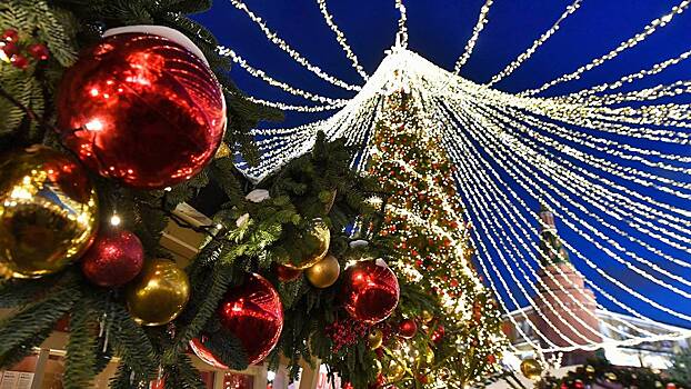 В Госдуме призвали «не переусердствовать» в вопросе новогодних каникул