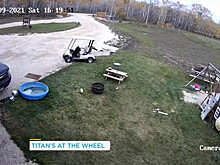 Собака проехалась в автомобиле без водителя и устроила аварию