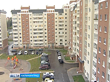 Многодетные семьи смогут вместо земельных участков получать денежную выплату