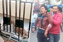 В Индии леопард напал на людей в зале суда, прервав заседание