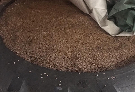 Житель Омской области украл полторы тонны пшеницы