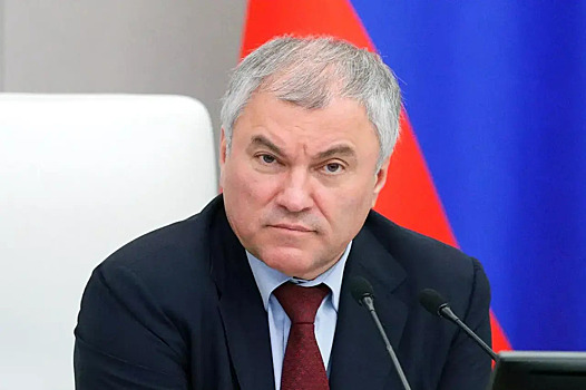 Володин рассказал о вступающих в силу с марта законах