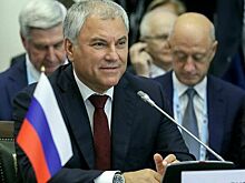 Володин: БРИКС — возможность для многих стран самореализоваться