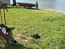 В Сабинском районе Татарстана утонул 15-летний мальчик, прокуратура начала проверку