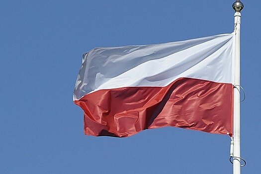Польша нашла замену российскому газу