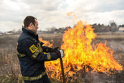 За первые майские праздники в Подмосковье ликвидировали 22 лесных пожара