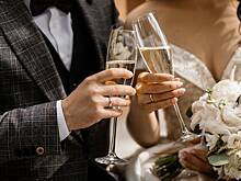 Пара отменила свадьбу ради спасения любимой собаки