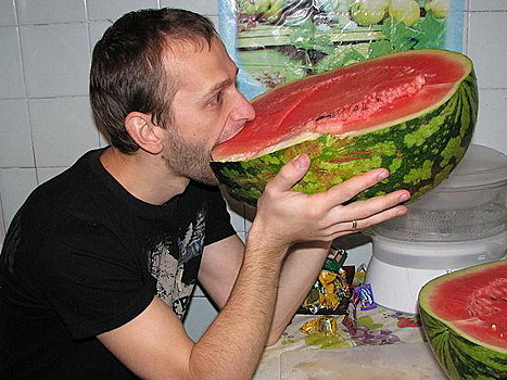 В Богородском в августе начнут работать бахчевые развалы