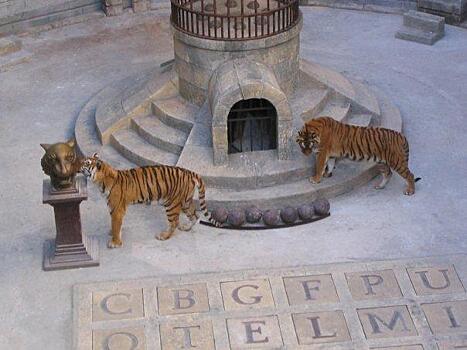 В шоу «Форт Боярд» тигров заменят на виртуальные 3D-модели