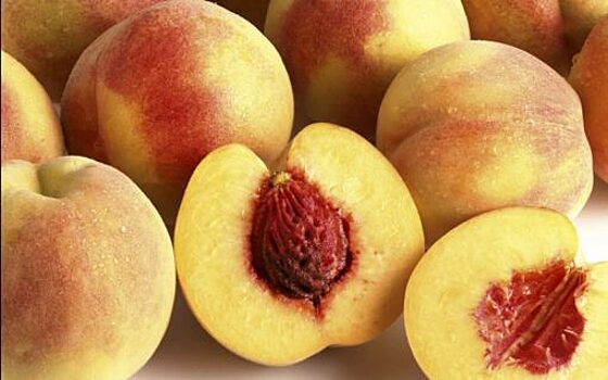 В орловском Россельхознадзоре рассказали, как выбрать правильные персики