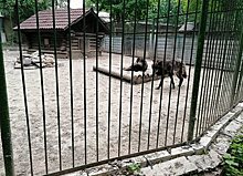 Нижегородцы требуют закрыть зоопарк в парке «Швейцария» из-за жестокого обращения с животными