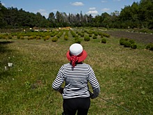 Гулять, любоваться, слушать: пять причин посетить ботанический сад Ставрополя