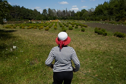 Гулять, любоваться, слушать: пять причин посетить ботанический сад Ставрополя