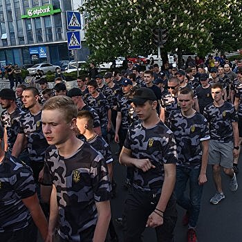 Владимир Чемерис: Украинская власть использует ультраправых для подавления социальных протестов