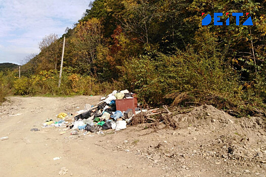 Прокуратура наказала мэра Находки за мусор