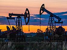 Глава ЕК: G7 предложили снизить потолок цен на нефть с $60 до $45 за баррель