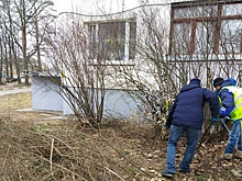 Обрезку деревьев и кустарников провели в Кленовском