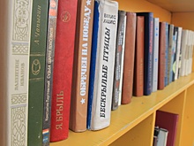 Нехватка книг и семь миллионов рублей на интернет: как живут архангельские библиотеки