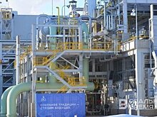 По делу Ханбикова Следком просит ареста бывших сотрудниц "Аммония" и "Менделеевсказота"