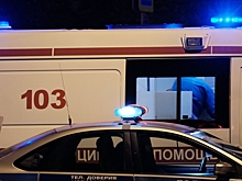 Как избежать ДТП с дикими животными