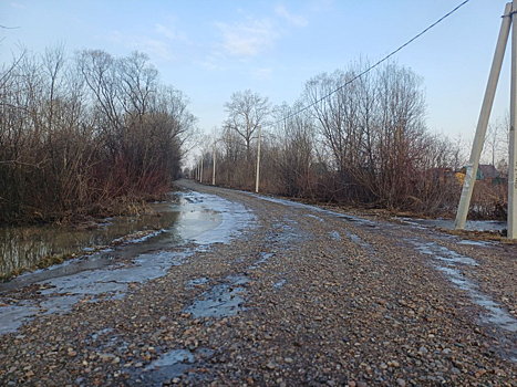 Уровень воды на затопленных садовых участках в Новокузнецком округе начал снижаться