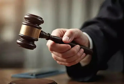 Супруга бизнесмена Портнягина попросила суд простить ей отмытые 30 млн рублей