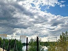 Экотропа появилась в Бурнаковской низине в Нижнем Новгороде