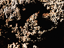 В Новосибирской области археологи нашли керамику бронзового века