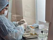 В центре крови модернизировали бактериологическую лабораторию