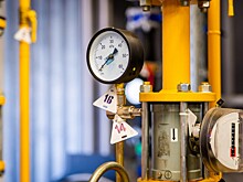 Раскрыты планы Польши на сети российской компании