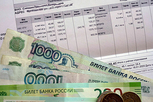 Петербургский депутат предложил не лишать должников субсидий на оплату ЖКХ