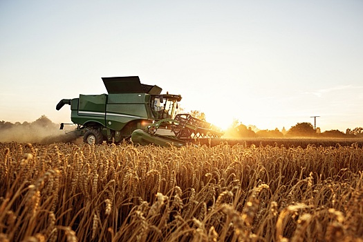 Урожай зерновых в 2023 году может сократиться до 120 млн тонн