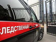 Экс-владельцу Черкизовского рынка, обвиняемому в похищении Авраама Руссо, предоставили политическое убежище