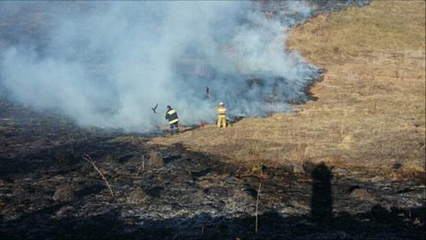 «Синим пламенем»: орловские пожарные за сутки 103 раза выезжали на возгорания