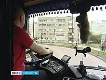 Елена Дятлова рассказала, куда должны жаловаться калининградцы на автобусы в Польшу