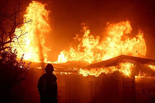 В мире 100 млн человек пострадали от лесных пожаров в 2024 году