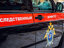 СК начал проверку драки в Междуреченске после публикации в СМИ