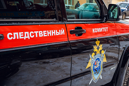 СК начал проверку драки в Междуреченске после публикации в СМИ
