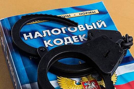 В Чувашии директор строительной компании осужден за уклонение от уплаты налогов на 38 млн рублей