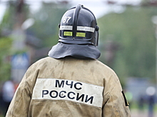 В МЧС дали советы разным знакам зодиака