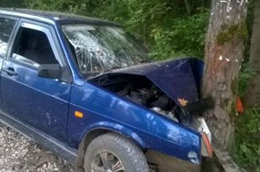 В Собинке водитель и пассажир «Ваза» госпитализированы после ДТП с деревом