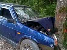 В Собинке водитель и пассажир «Ваза» госпитализированы после ДТП с деревом