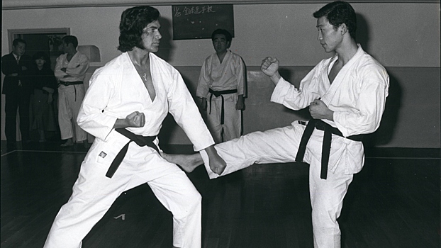 Почему в СССР в 1981 году запретили каратэ